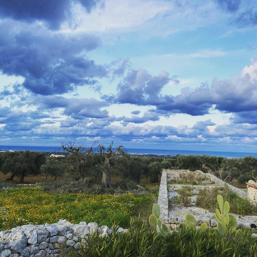 לינה וארוחת בוקר מונופולי La Guendalina Masseria E Casa Particular מראה חיצוני תמונה