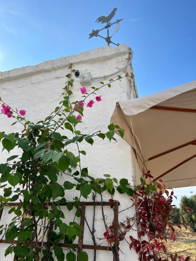 לינה וארוחת בוקר מונופולי La Guendalina Masseria E Casa Particular מראה חיצוני תמונה