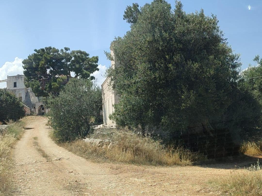 לינה וארוחת בוקר מונופולי La Guendalina Masseria E Casa Particular מראה חיצוני תמונה